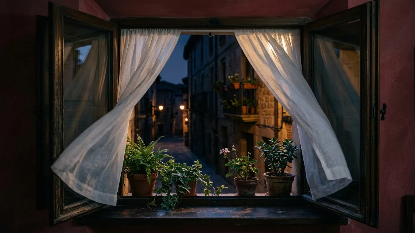 Open window with morning light and plants